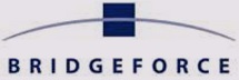 Bridgeforce, Inc.